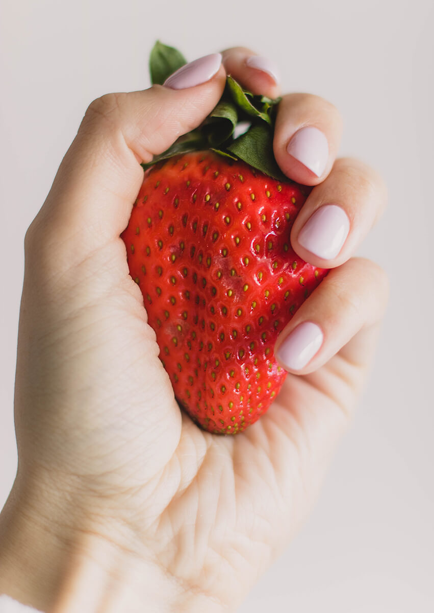 FRESA roja grande en la mano fruta de color rojo